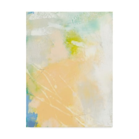 Sue Jachimiec 'Pastel Lux I' Canvas Art,35x47
